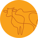 Ícone agropecuários