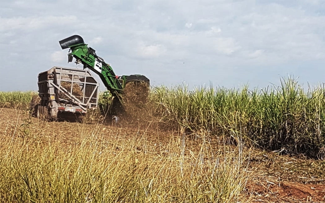 Setor sucroenergético: iniciativa pioneira desenvolve e engaja produtores de cana-de-açúcar para o desenvolvimento sustentável e garantia de direitos humanos no setor