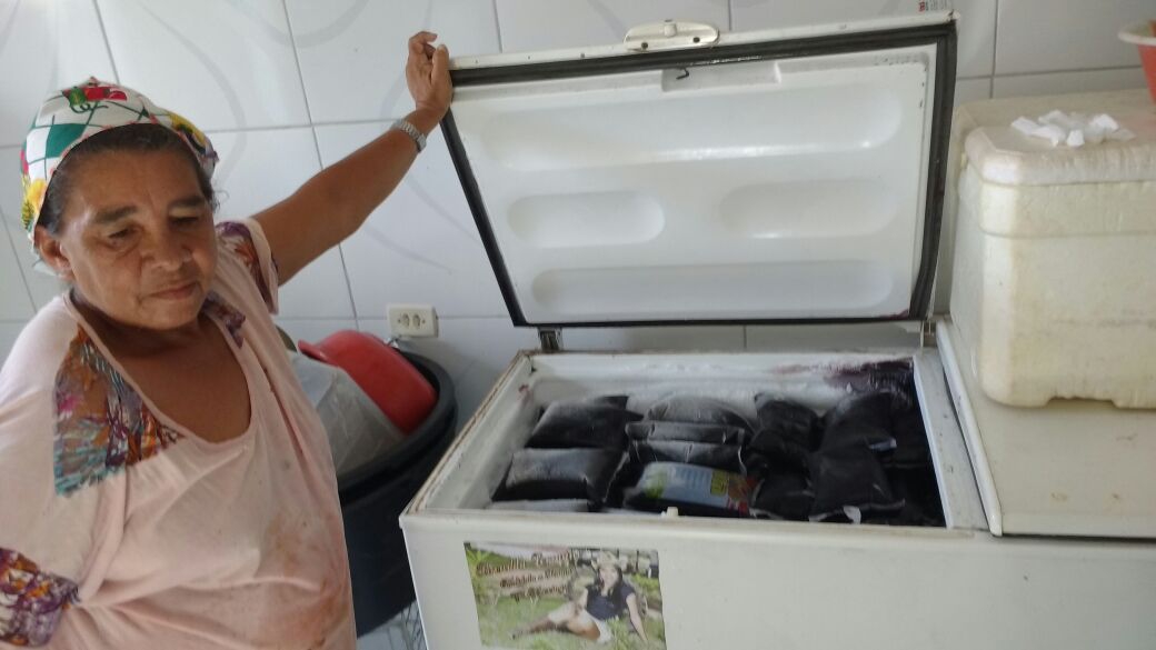 Mulheres do campo criam associação para comercializar polpa de fruta