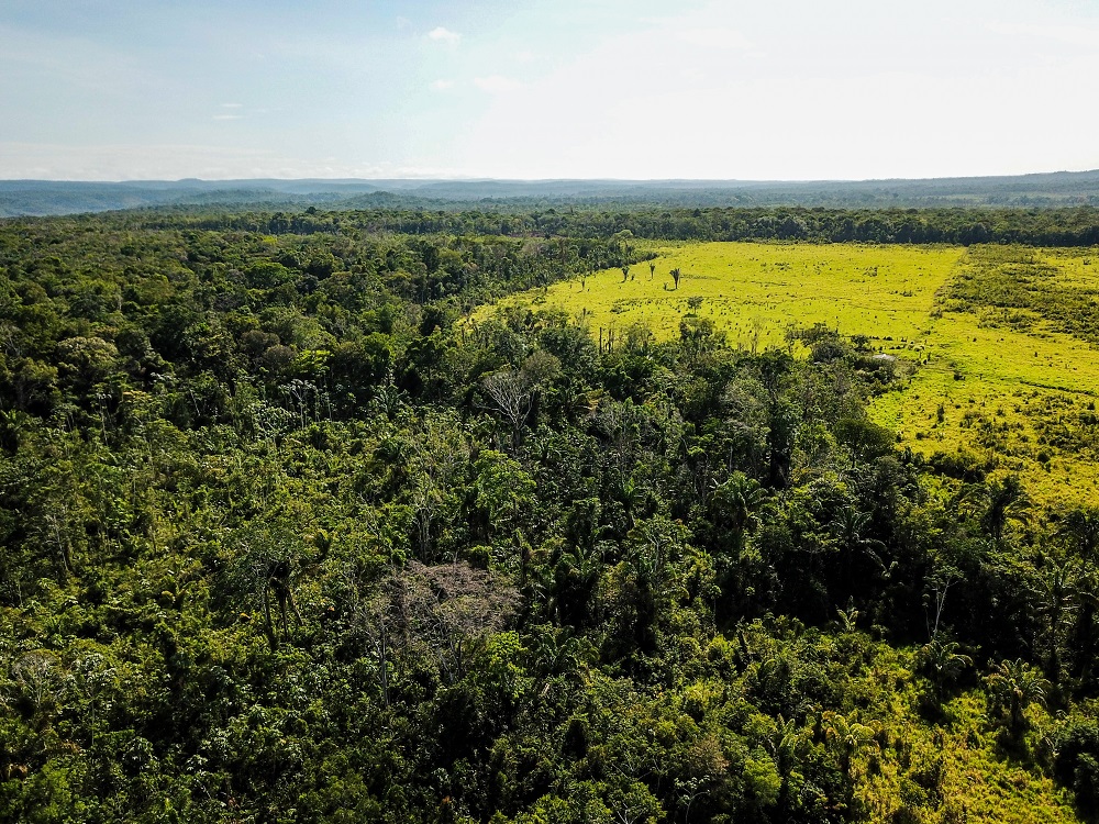 Estudo inédito do Imaflora mostra que 94% das terras indígenas da Amazônia sofreu pressões externas entre 2016 e 2020