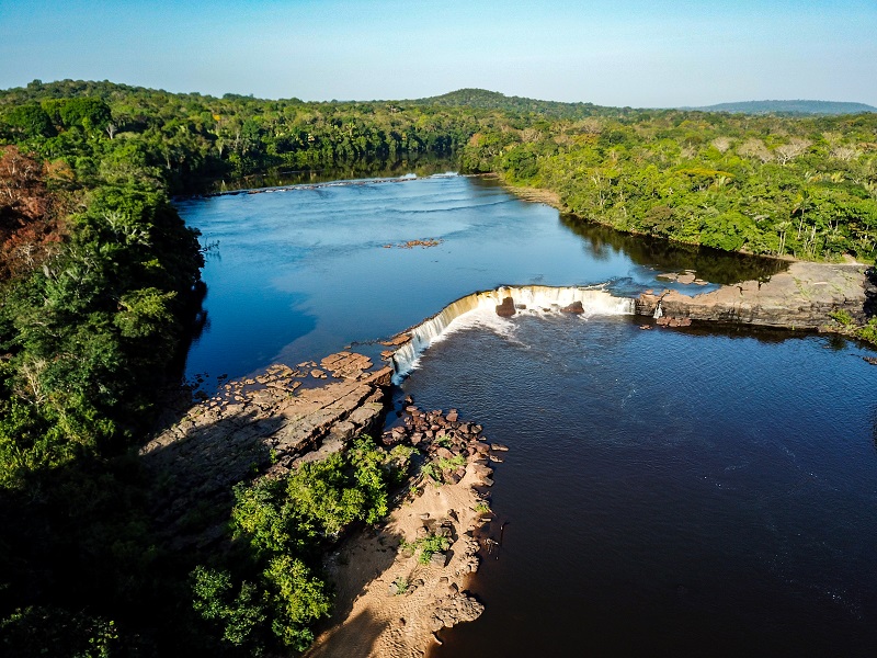 Imaflora sedia treinamento sobre o Google Earth Engine para a Amazônia