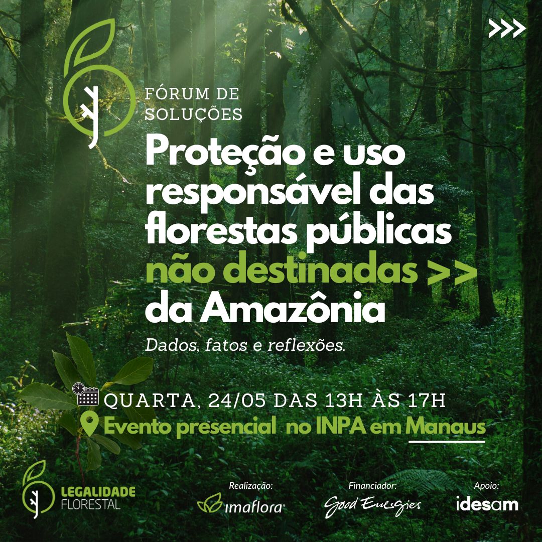 Evento debate soluções para a proteção e uso das Florestas Públicas Não Destinadas na Amazônia