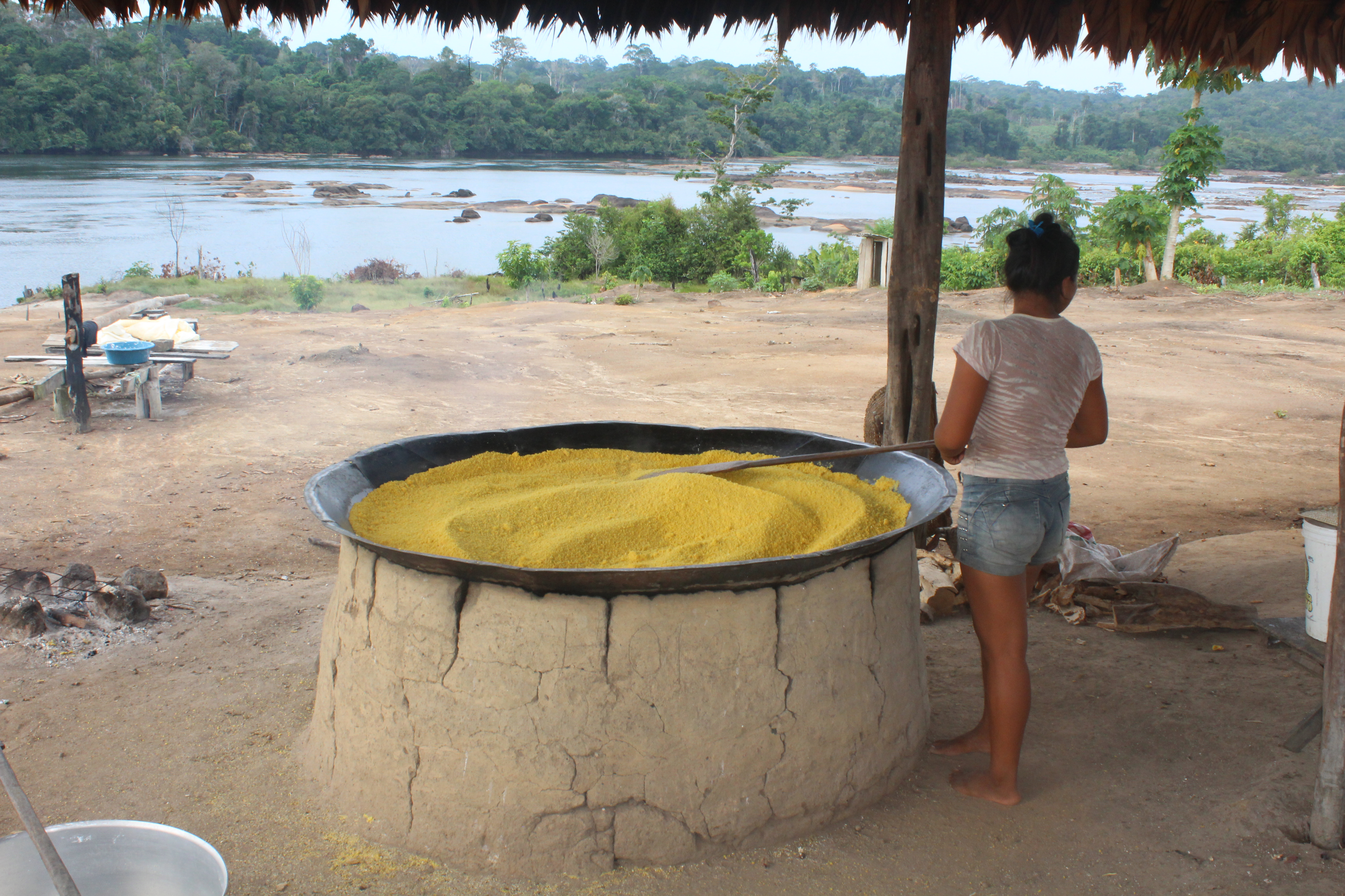 Crise hídrica na Amazônia afeta cadeia de produtos agroextrativistas no Pará