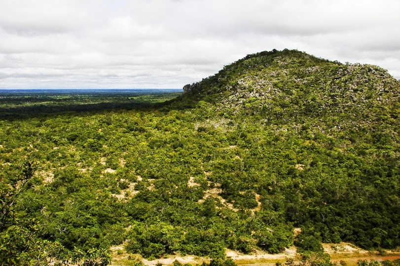 Calha Norte: 2 milhões de hectares de florestas e uma nova economia no horizonte